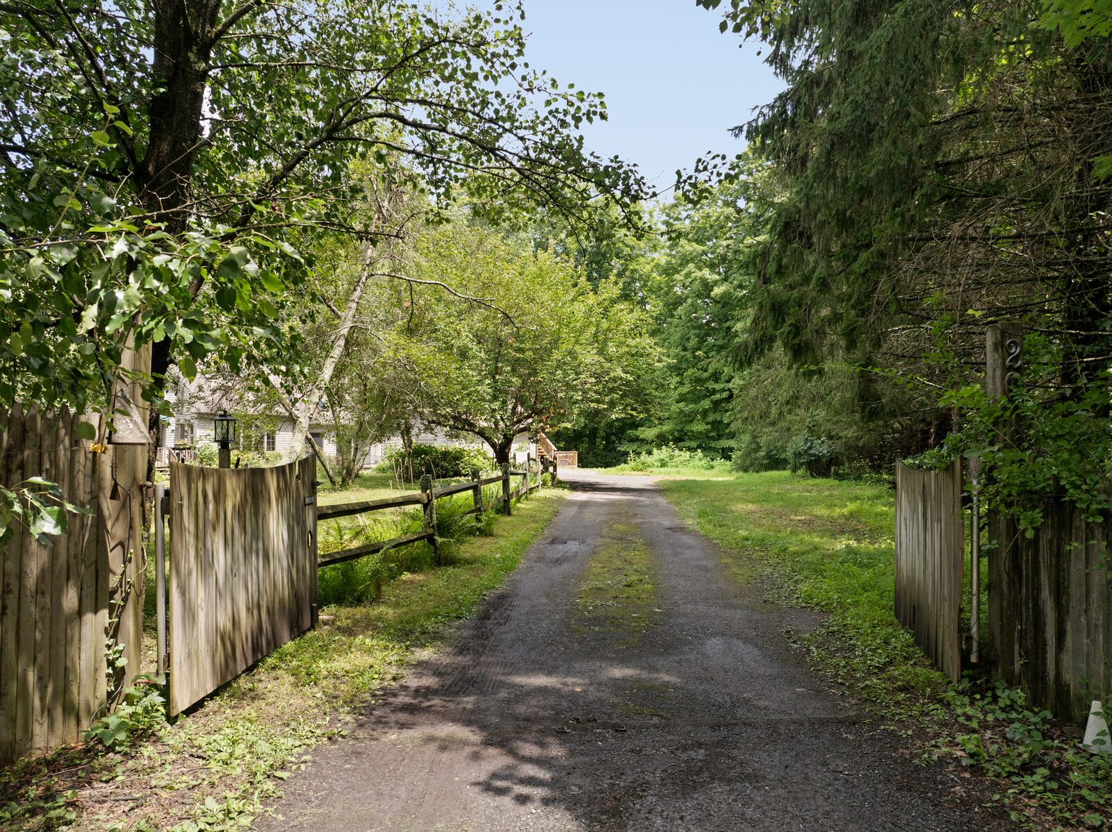 The gate and the gravel drive running between fence posts into the woods