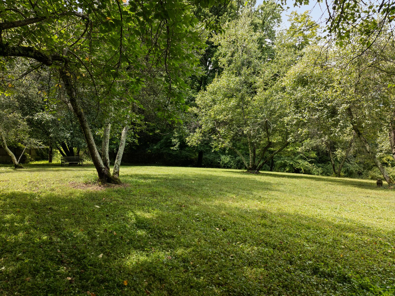 The clearing, with old apple trees standing in mowed grass
