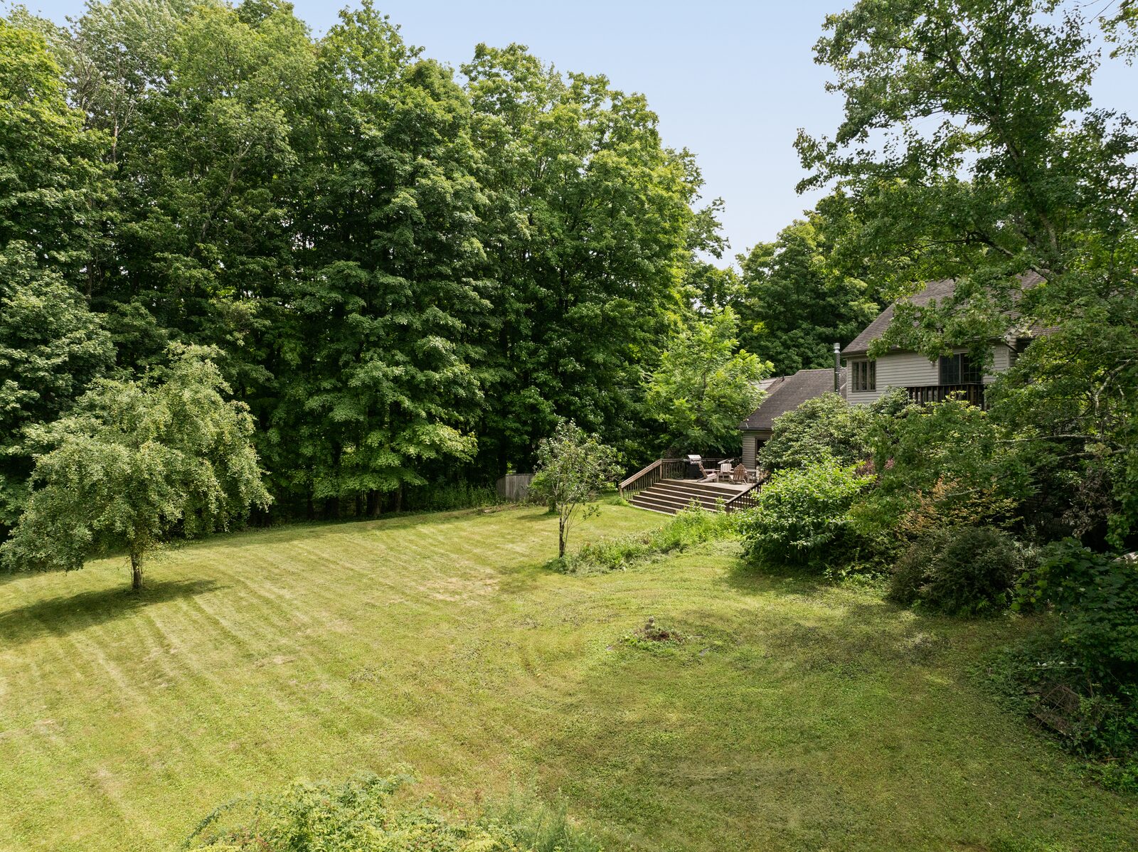 The clearing with the house set back against the tree line, the willow at the near edge