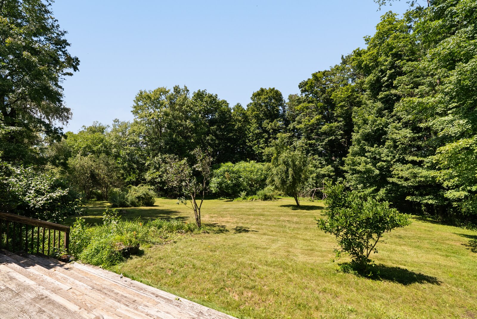 The clearing seen from the deck, trees closing the far edge