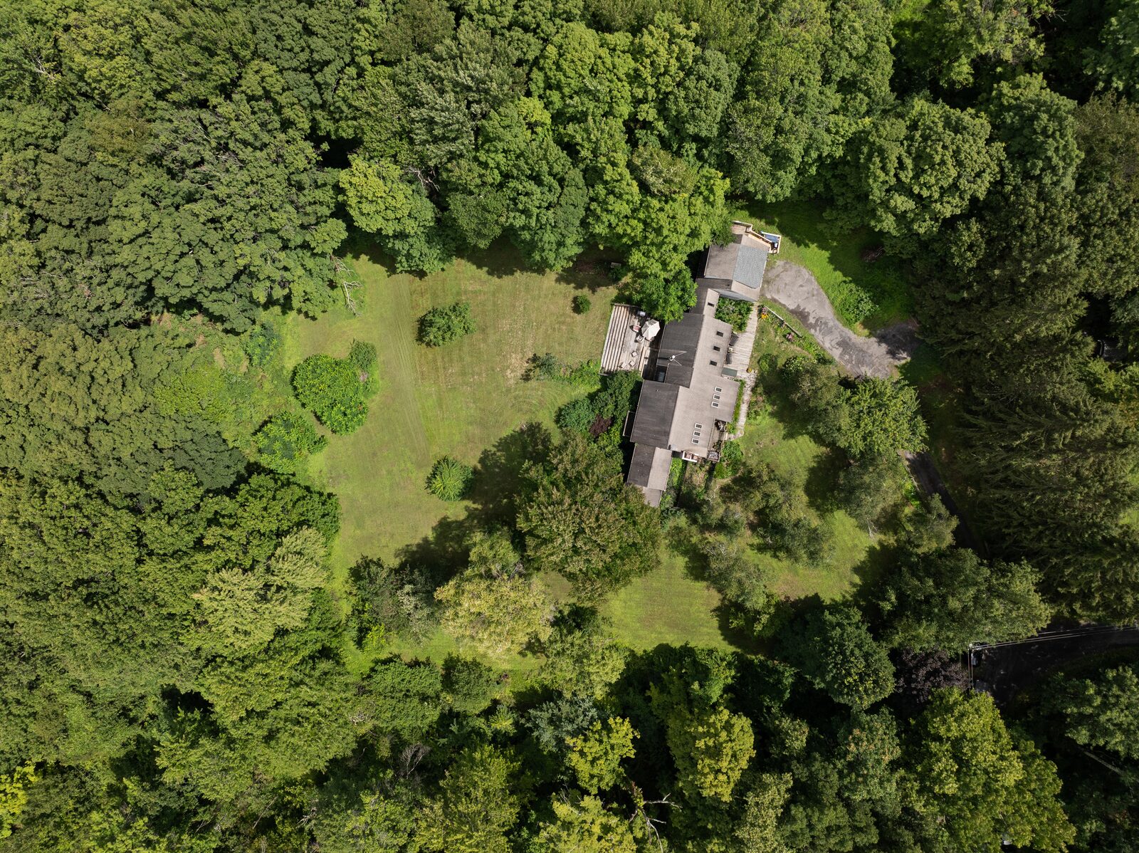 Directly above — the house in its clearing, canopy unbroken in every direction