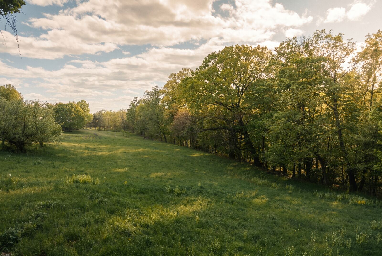 262–270 Patterson Lane, Saugerties — editorial frame