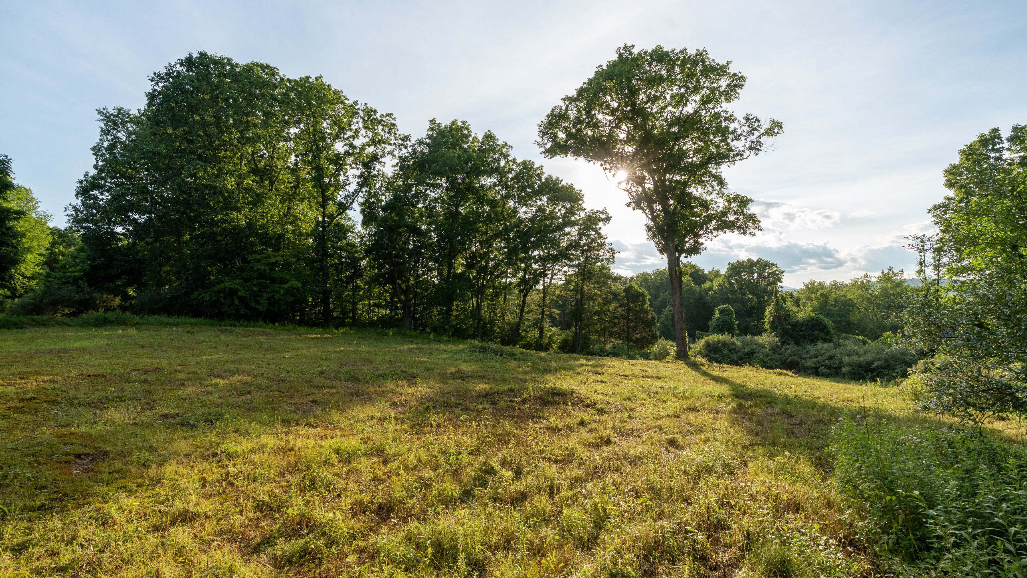HighFell — site photograph